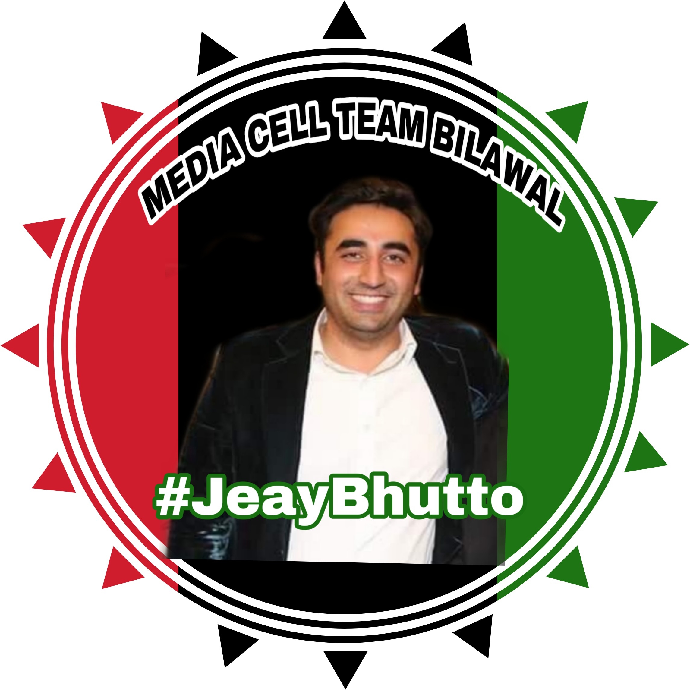 pakistan-peoples-party_1540267670Mtzakv.jpeg